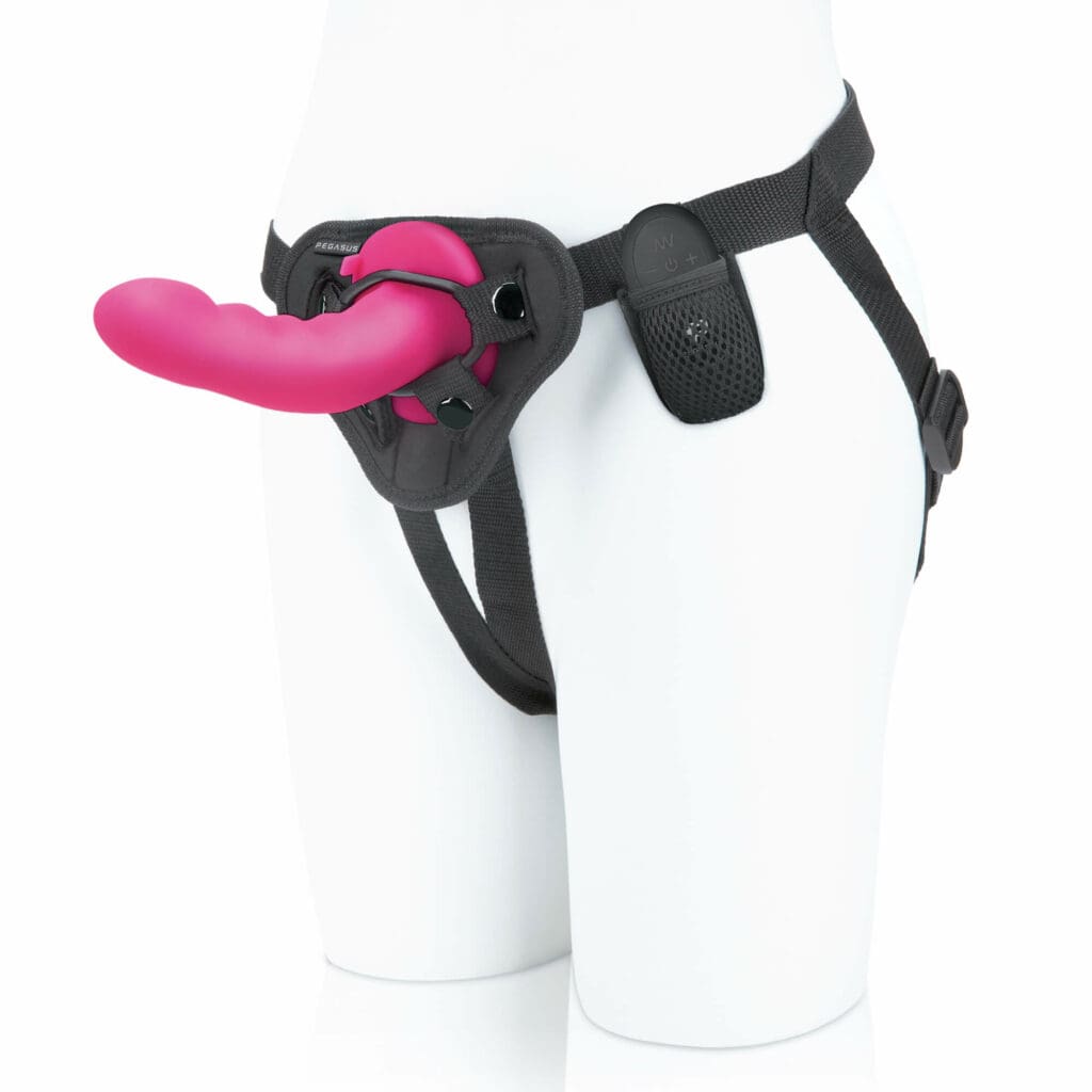 Pegasus Gebogener Wirbel mit Gurt Rosa 153 cm 2